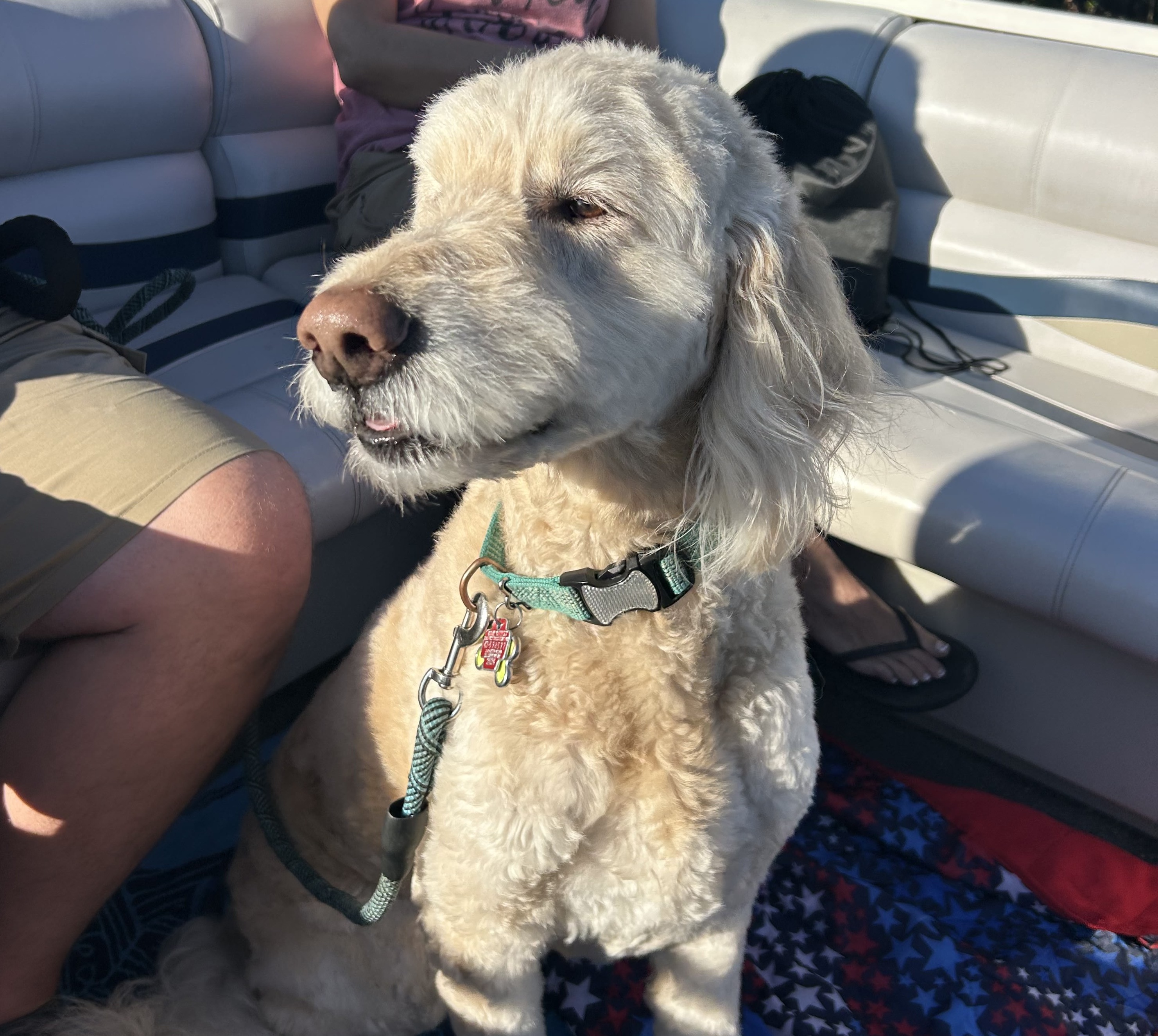 We also Welcome your Furry friend!